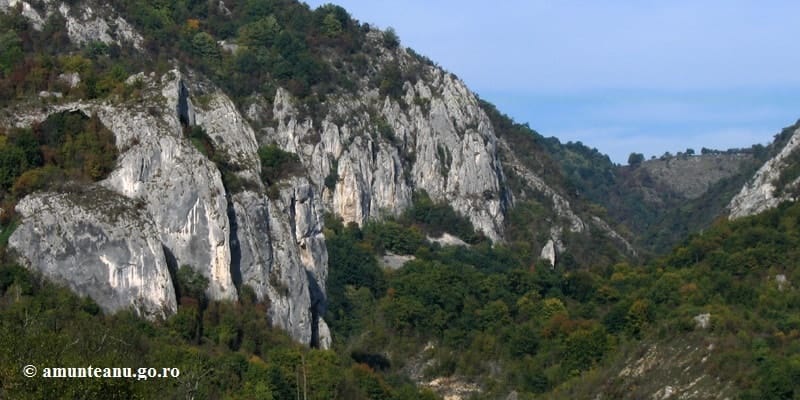 Sursă: amunteanu.go.ro Sursă: amunteanu.go.ro