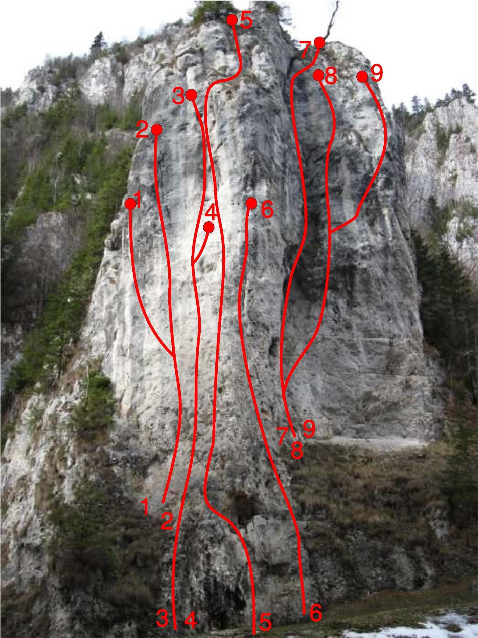 Sursă: Milea Iulian Sursă: Milea Iulian