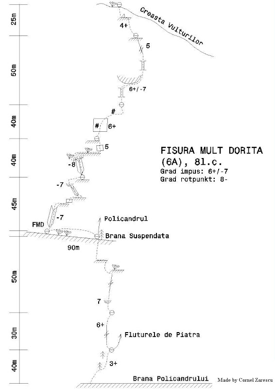 fisura mult dorita