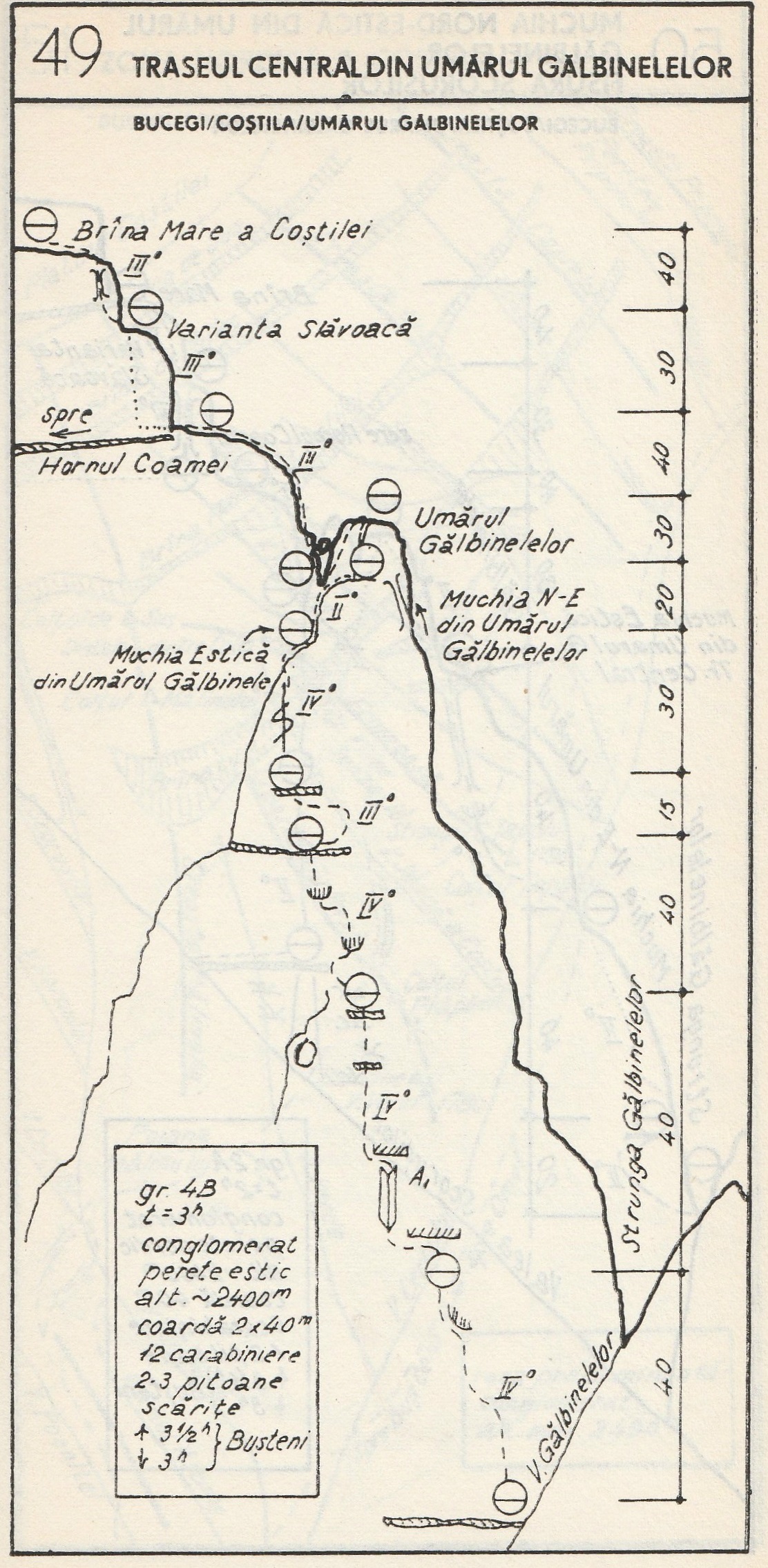 slavoaca