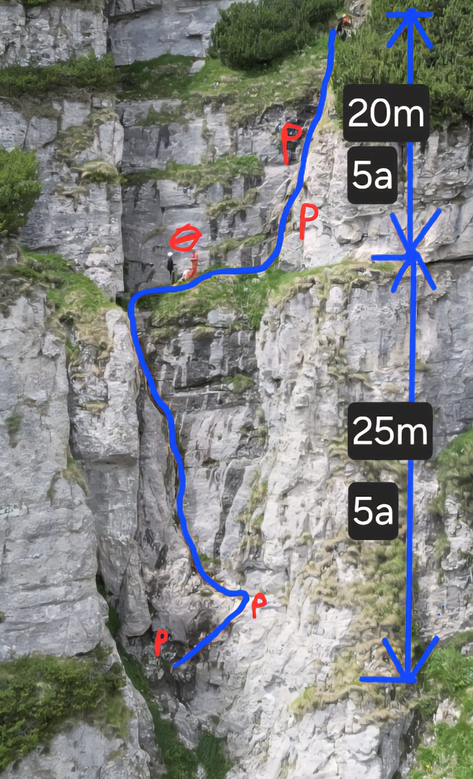 Sursă foto: Codrin Rotaru (2025)