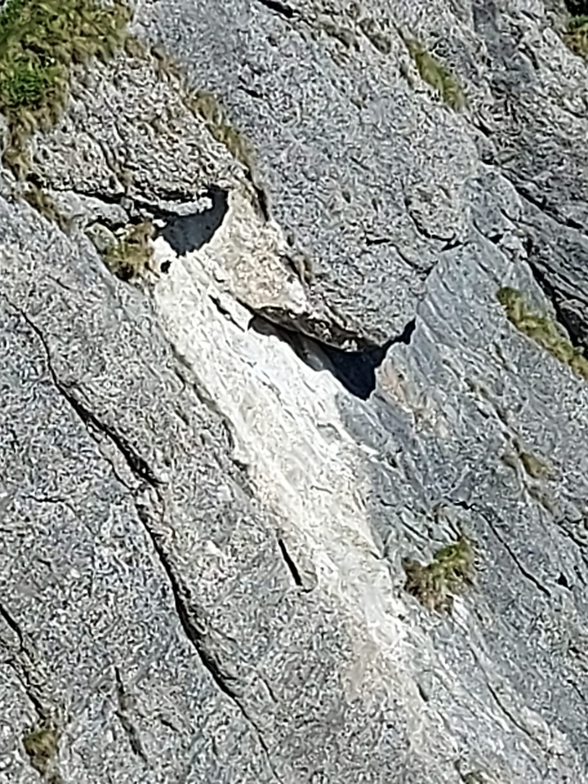 Sursă foto: Rupi (07.2024)