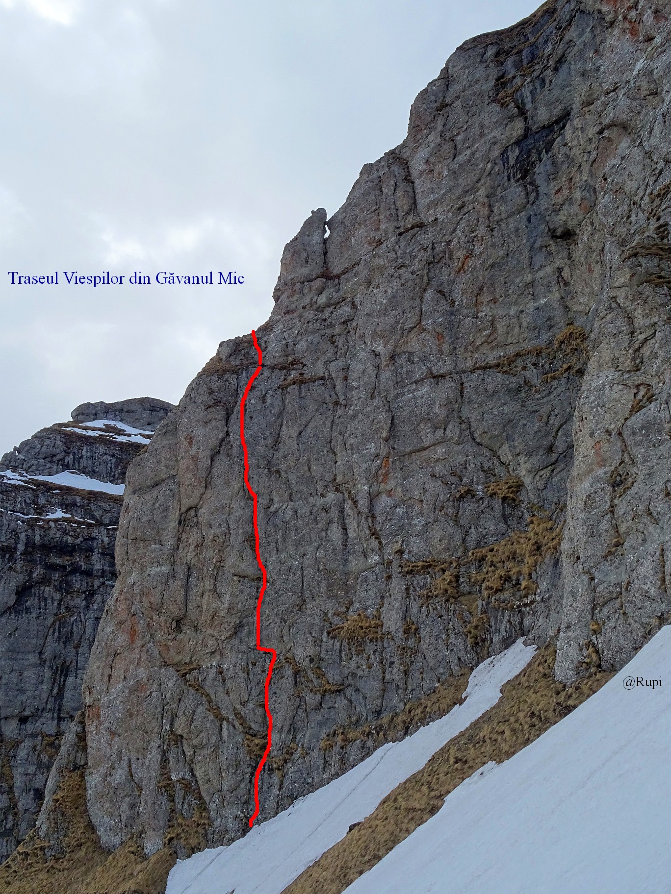 Sursa foto: Rupi (2019)