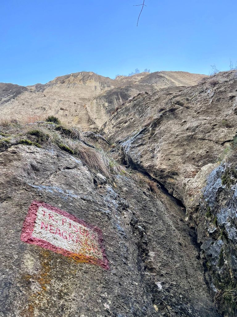 Sursă foto: Dan Ciubotaru (2022)