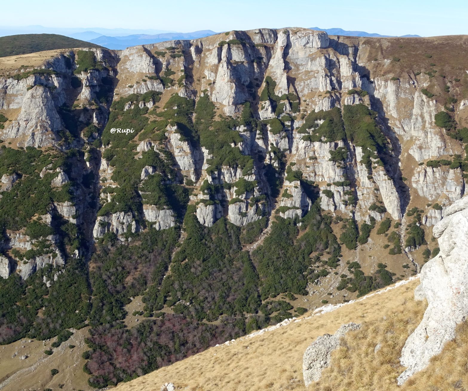 Versantul estic al Peretelui Doamnele. Sursă foto: Rupi (2024)