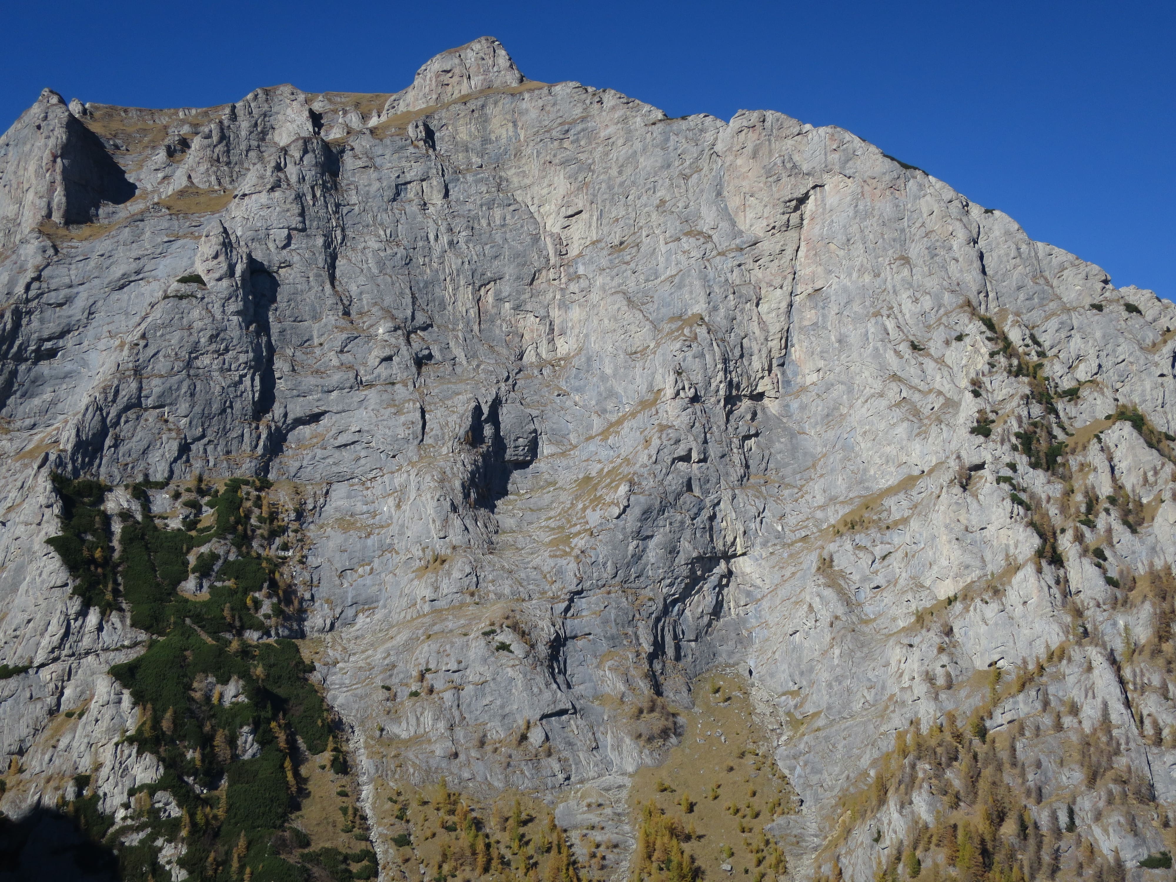 Sursă poză: Mihai Sava