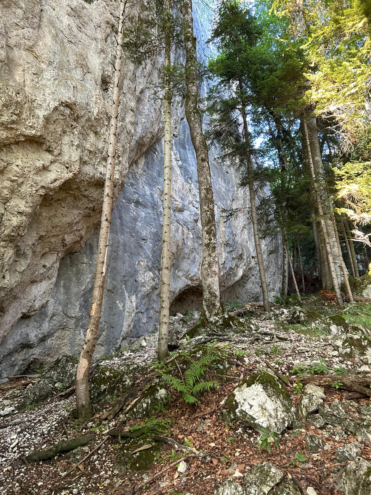 Sursă foto: Marcello Rossi (2025)