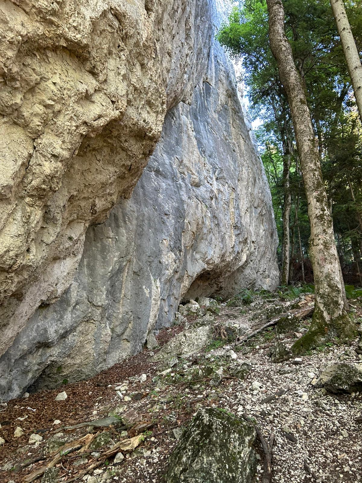 Sursă foto: Marcello Rossi (2025)